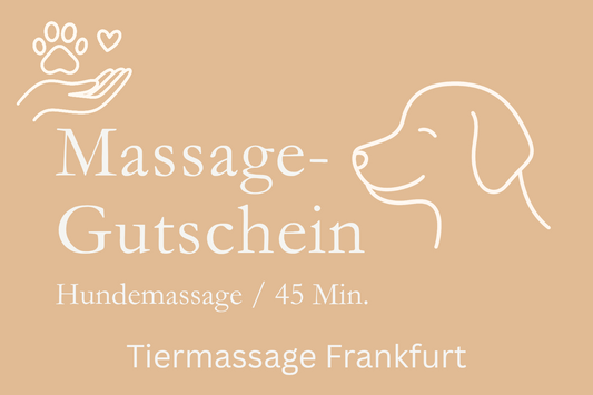 Massage-Gutschein für Hunde