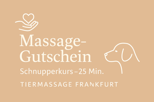 Massage-Gutschein Schnupperkurs