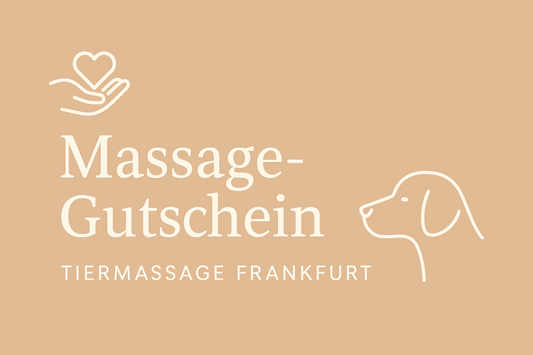 Massage-Gutschein für Hunde